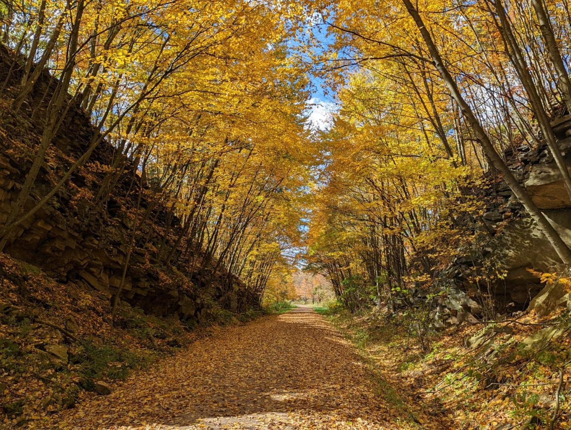 Stay In Ohiopyle Near Everything Including The Trail, Ohiopyle Pa ファーミントン エクステリア 写真
